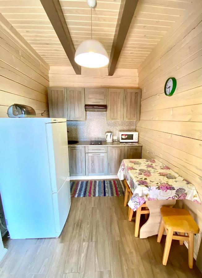 Дача Світязь Appartement Shatsk Buitenkant foto