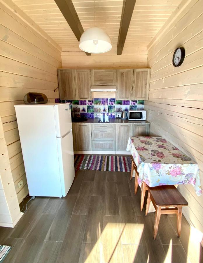 Дача Світязь Appartement Shatsk Buitenkant foto